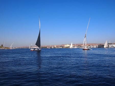 ファルーカ乗り