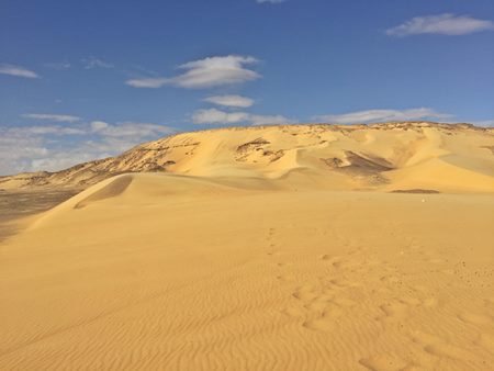 エジプト砂漠日帰り - エジプトツアー・現地手配が格安 KODAI EGYPT